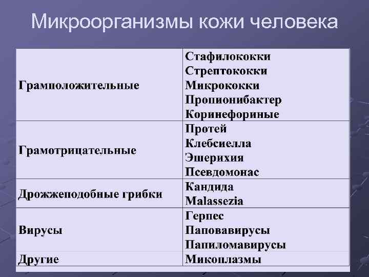 Микроорганизмы кожи человека 