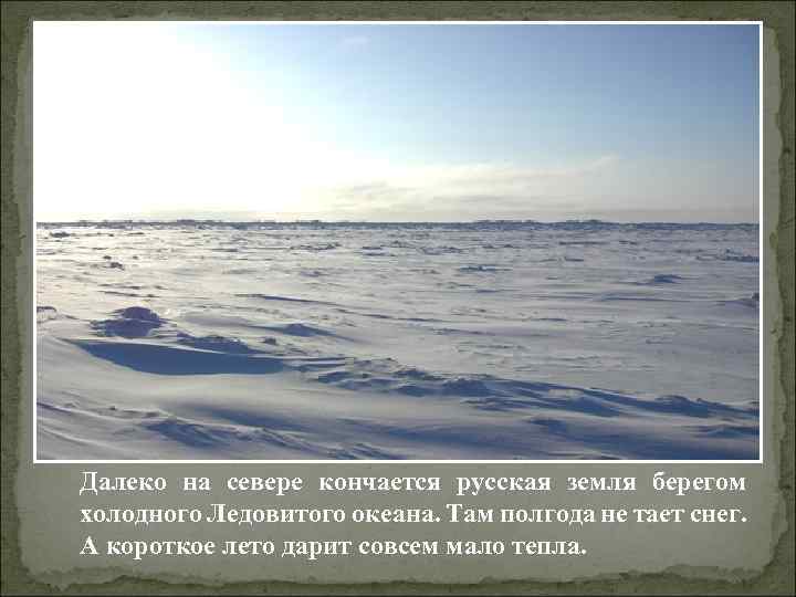 Далеко на севере кончается русская земля берегом холодного Ледовитого океана. Там полгода не тает