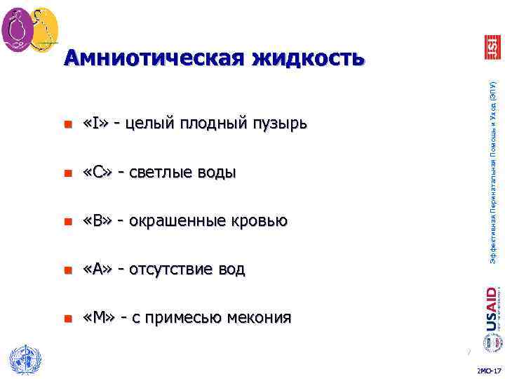 n «I» - целый плодный пузырь n «C» - светлые воды n «В» -