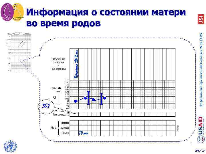Промедол 2% 2 мл Эффективная Перинатальная Помощь и Уход (ЭПУ) Информация о состоянии матери