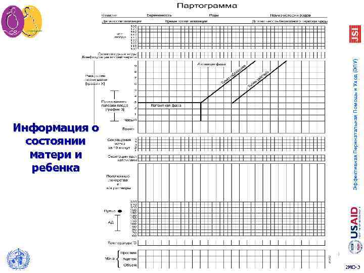 Эффективная Перинатальная Помощь и Уход (ЭПУ) Информация о состоянии матери и ребенка 3 2