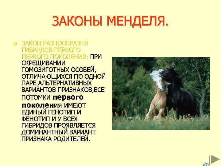 ЗАКОНЫ МЕНДЕЛЯ. l ЗАКОН РАЗНООБРАЗИЯ ГИБРИДОВ ПЕРВОГО ПОКОЛЕНИЯ: ПРИ СКРЕЩИВАНИИ ГОМОЗИГОТНЫХ ОСОБЕЙ, ОТЛИЧАЮЩИХСЯ ПО