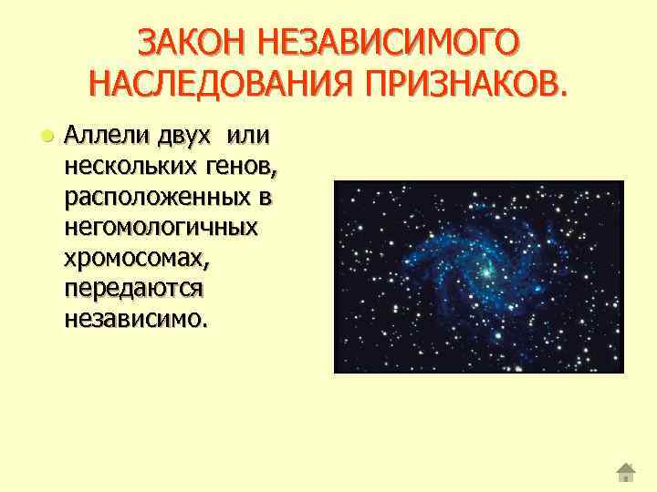 ЗАКОН НЕЗАВИСИМОГО НАСЛЕДОВАНИЯ ПРИЗНАКОВ. l Аллели двух или нескольких генов, расположенных в негомологичных хромосомах,