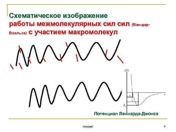 Схематическое изображение работы межмолекулярных сил (Ван-дер. Ваальса) с участием макромолекул Потенциал Леннарда-Джонса Лекция 6