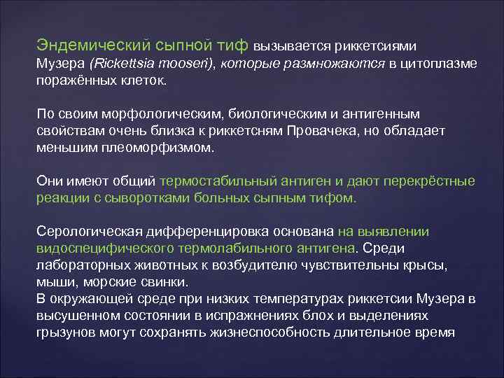 Эндемический сыпной тиф вызывается риккетсиями Музера (Rickettsia mooseri), которые размножаются в цитоплазме поражённых клеток.