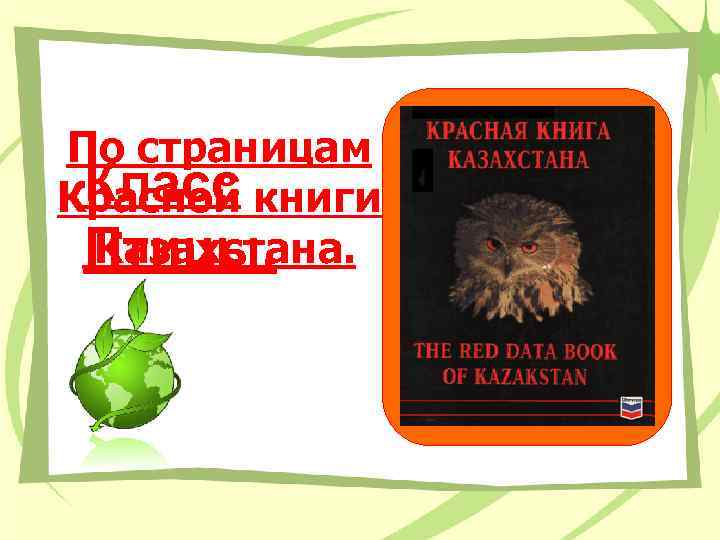По страницам Класс Красной книги Казахстана. Птицы. 