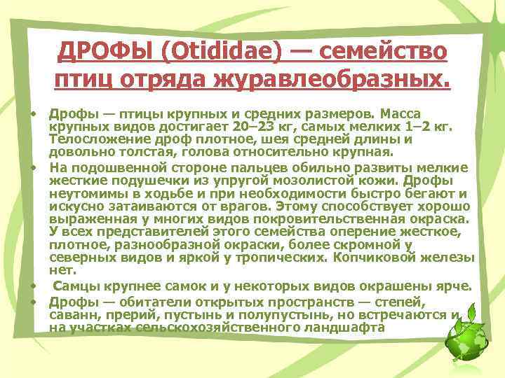 ДРОФЫ (Otididae) — семейство птиц отряда журавлеобразных. • Дрофы — птицы крупных и средних