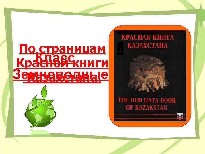 По страницам Класс Красной книги Земноводные. Казахстана. 