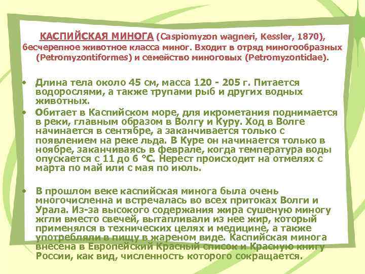 КАСПИЙСКАЯ МИНОГА (Caspiomyzon wagneri, Kessler, 1870), бесчерепное животное класса миног. Входит в отряд миногообразных