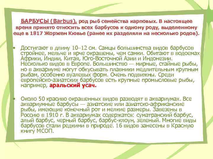 БАРБУСЫ (Barbus), род рыб семейства карповых. В настоящее время принято относить всех барбусов к