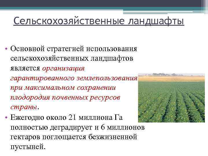 Опишите природный комплекс вашей местности по плану 6 класс воронеж