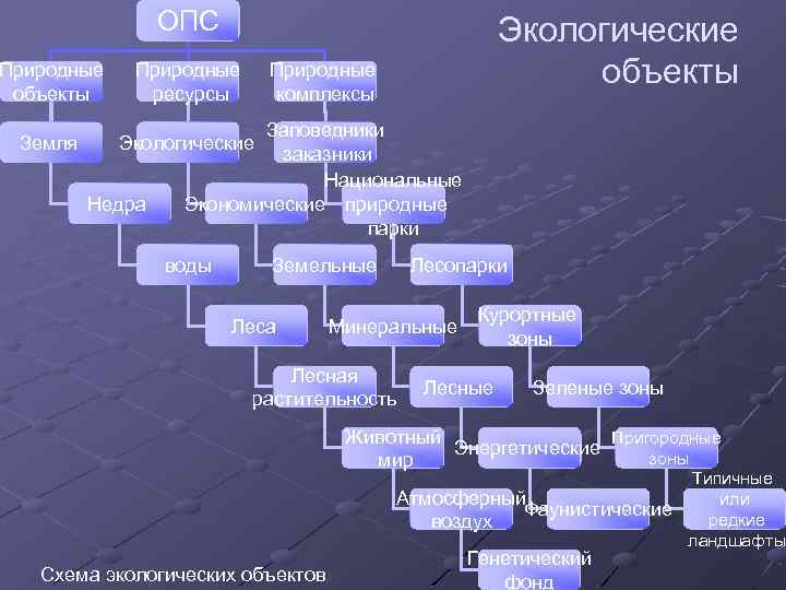 ОПС Природные объекты Природные ресурсы Земля Экологические объекты Экологические Недра Природные комплексы Заповедники заказники