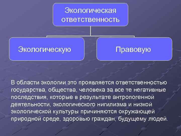 Экологическая ответственность Экологическую Правовую В области экологии это проявляется ответственностью государства, общества, человека за