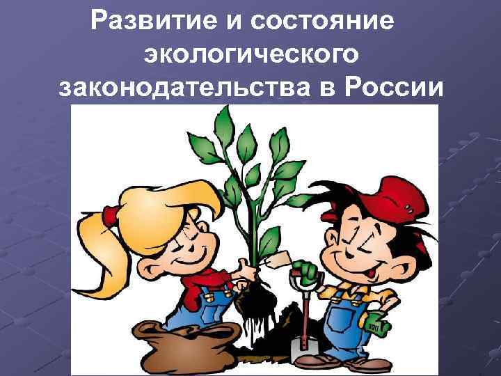 Развитие и состояние экологического законодательства в России 