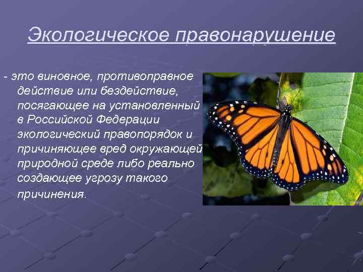 Экологическое правонарушение это виновное, противоправное действие или бездействие, посягающее на установленный в Российской Федерации