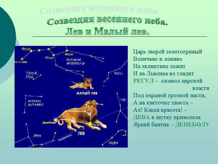 Царь зверей золотогривый Величаво и лениво На эклиптике лежит И на Львенка не глядит