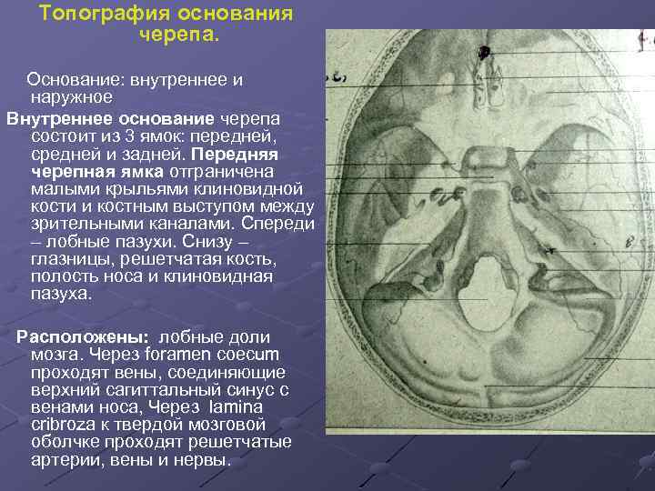 Топография основания черепа. Основание: внутреннее и наружное Внутреннее основание черепа состоит из 3 ямок: