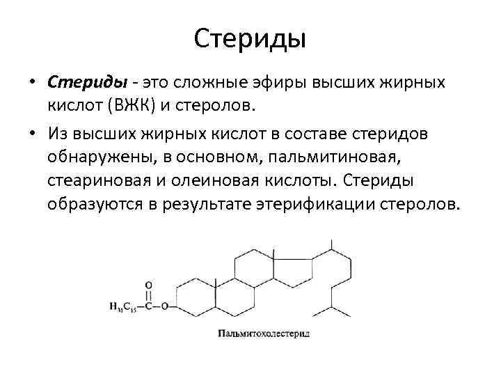 Высшие жиры входят в состав