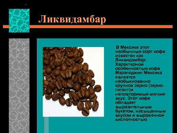 Ликвидамбар В Мексике этот необычный сорт кофе известен как Ликвидамбар. Характерной особенностью кофе Марагоджип