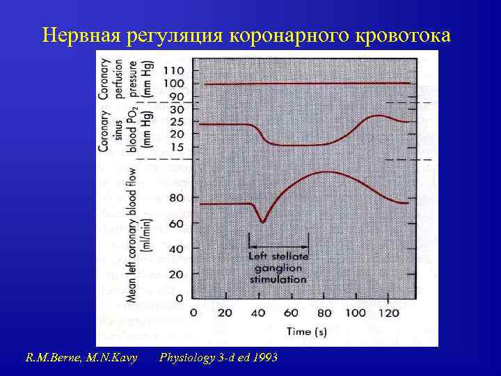 Нервная регуляция коронарного кровотока R. M. Berne, M. N. Kavy Physiology 3 -d ed