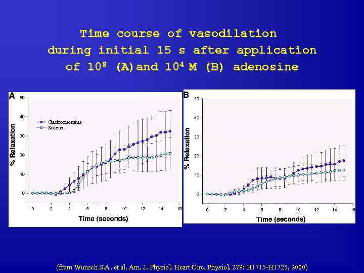 Time course of vasodilation during initial 15 s after application of 108 (A)and 104