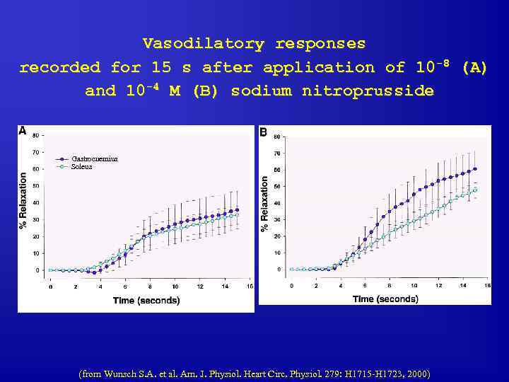 Vasodilatory responses recorded for 15 s after application of 10 -8 (A) and 10