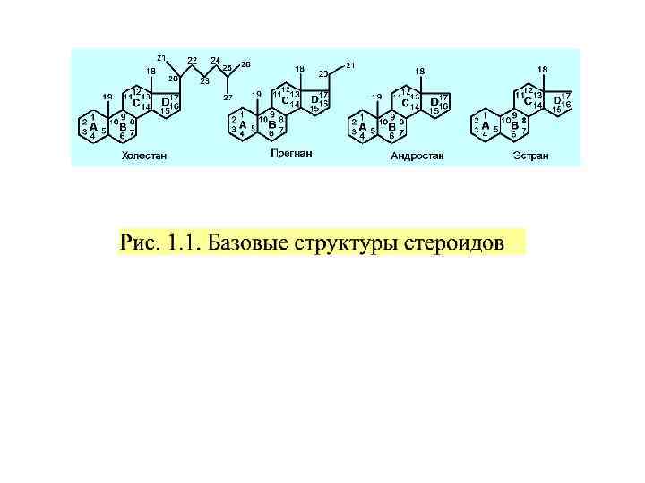  Функции прогестинов: • Стимуляция и поддержание активности женских репродуктивных органов • Регуляция женских