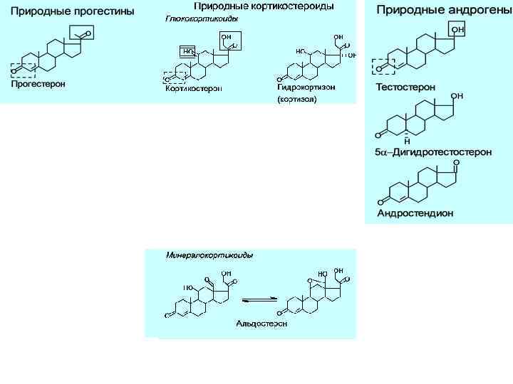  Функции глюкокортикоидов (кортизола, кортикостерона): Гипергликемический эффект: üСтимуляция глюконеогенеза üСтимуляция синтеза белка и ферментов