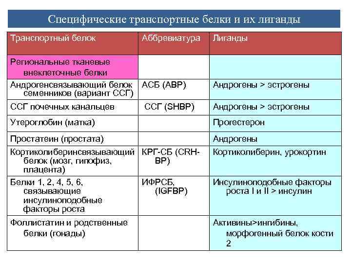  Зависимость длительности жизни ИФР-1 в кровотоке от комплексирования с ИФР-СБ-3 • Т ½