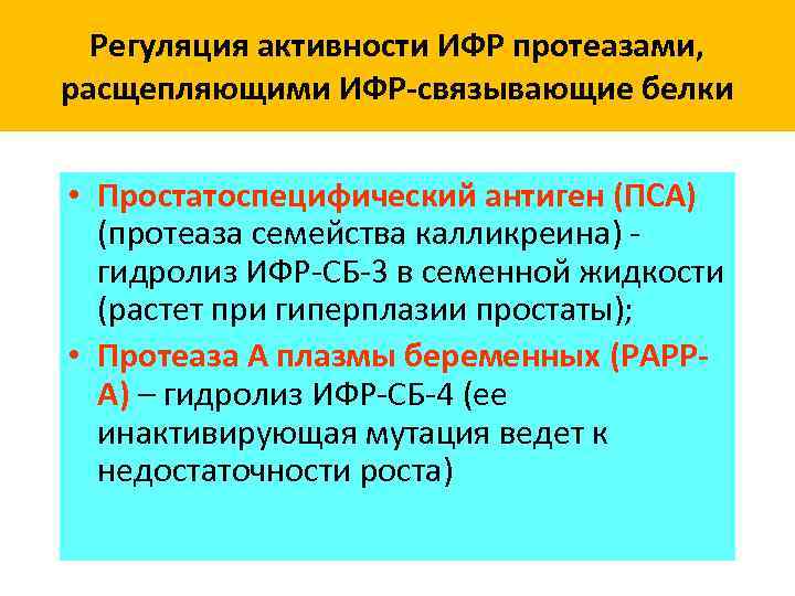  Функции транспортных белков I. Функции при связывании с лигандом • Увеличение полупериода жизни