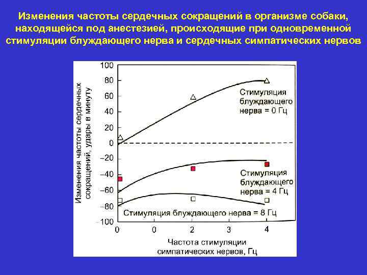 Изменения частоты сердечных сокращений в организме собаки, находящейся под анестезией, происходящие при одновременной стимуляции