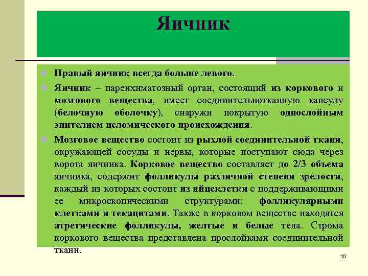 Яичник n Правый яичник всегда больше левого. n Яичник – паренхиматозный орган, состоящий из