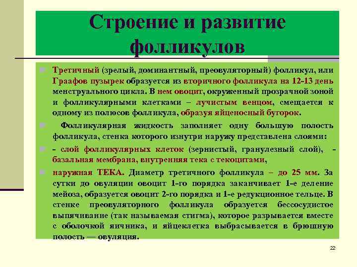 Строение и развитие фолликулов n Третичный (зрелый, доминантный, преовуляторный) фолликул, или Граафов пузырек образуется