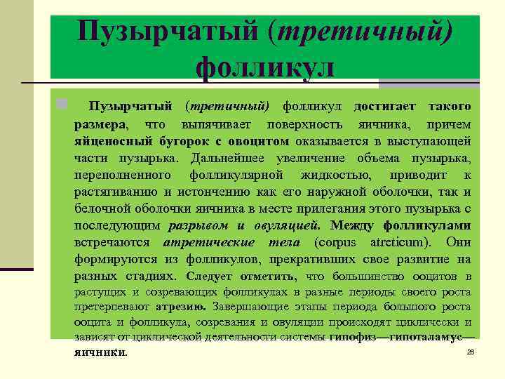 Пузырчатый (третичный) фолликул n Пузырчатый (третичный) фолликул достигает такого размера, что выпячивает поверхность яичника,