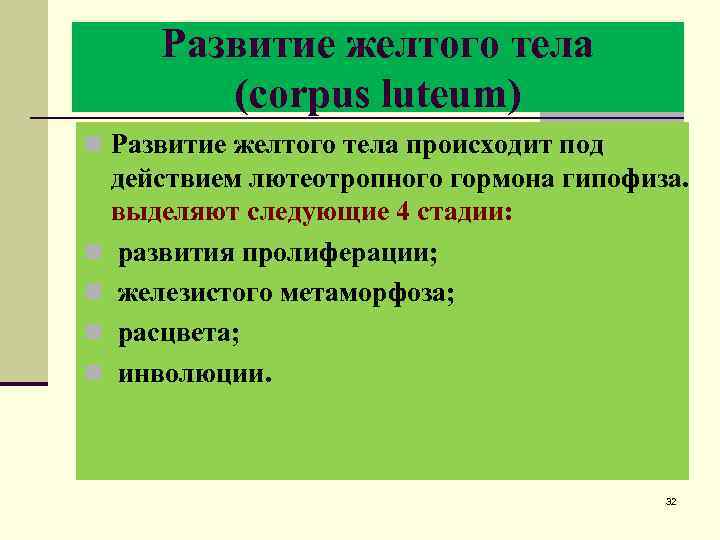 Развитие желтого тела (corpus luteum) n Развитие желтого тела происходит под действием лютеотропного гормона