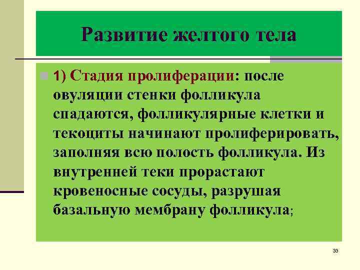 Развитие желтого тела n 1) Стадия пролиферации: после овуляции стенки фолликула спадаются, фолликулярные клетки