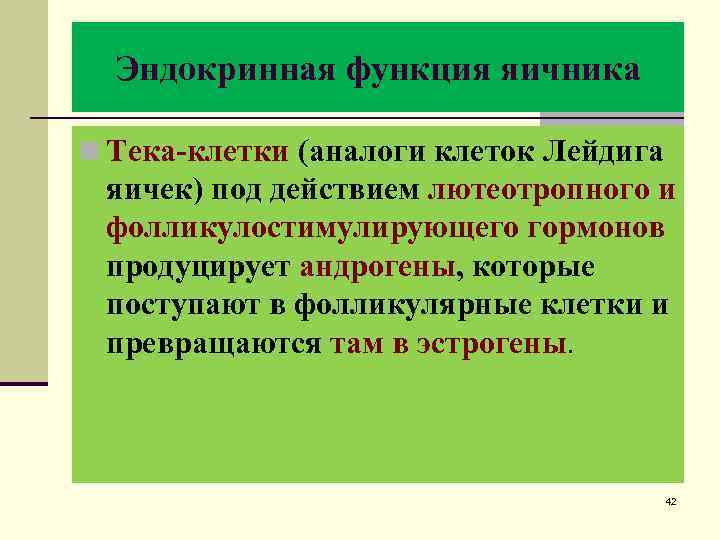 Эндокринная функция яичника n Тека-клетки (аналоги клеток Лейдига яичек) под действием лютеотропного и фолликулостимулирующего