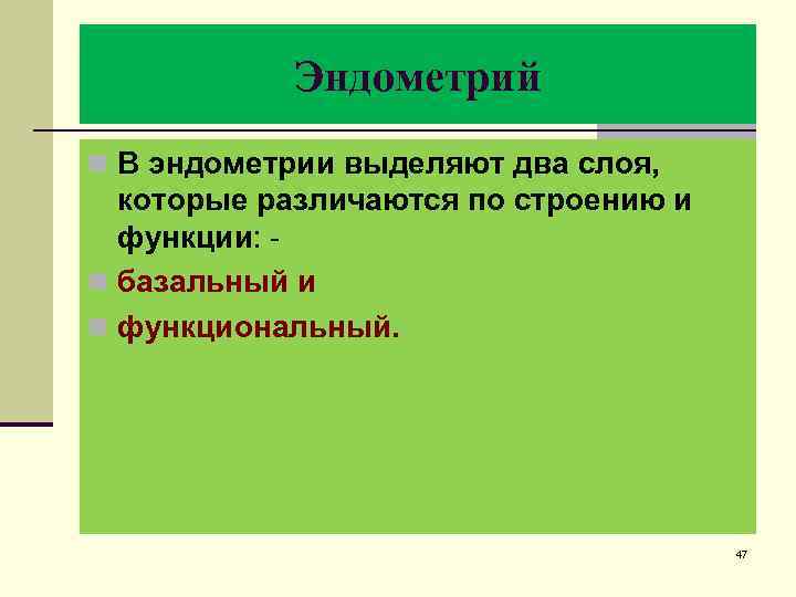 Эндометрий n В эндометрии выделяют два слоя, которые различаются по строению и функции: -