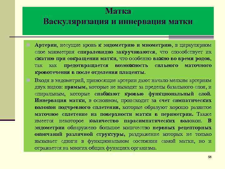 Матка Васкуляризация и иннервация матки n Артерии, несущие кровь к эндометрию и миометрию, в