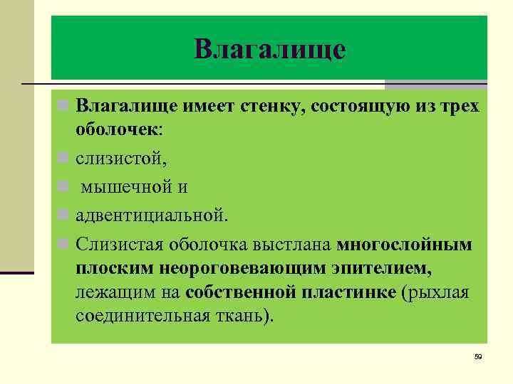 Влагалище n Влагалище имеет стенку, состоящую из трех оболочек: n слизистой, n мышечной и