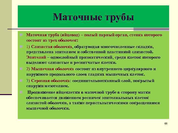 Маточные трубы n Маточная труба (яйцевод) – полый парный орган, стенка которого n n