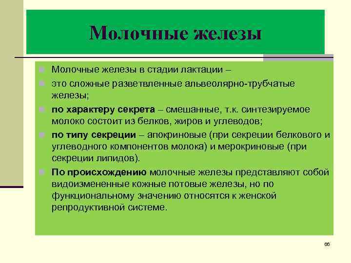 Молочные железы n Молочные железы в стадии лактации – n это сложные разветвленные альвеолярно-трубчатые