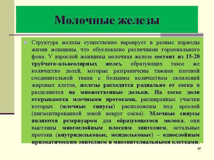 Молочные железы n Структура железы существенно варьирует в разные периоды жизни женщины, что обусловлено