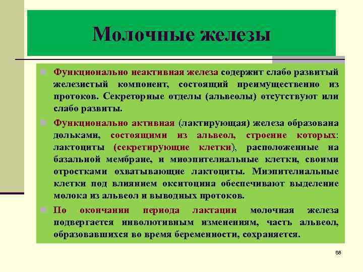 Молочные железы n Функционально неактивная железа содержит слабо развитый железистый компонент, состоящий преимущественно из