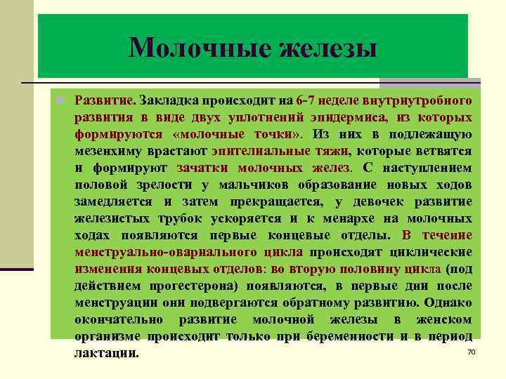 Молочные железы n Развитие. Закладка происходит на 6 -7 неделе внутриутробного развития в виде