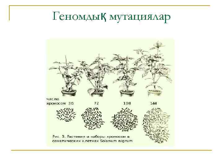 Геномдық мутациялар 