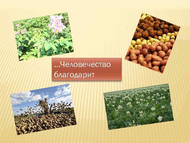 …Человечество благодарит 