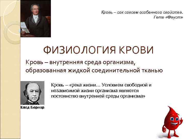 Кровь – сок совсем особенного свойства. Гете «Фауст» ФИЗИОЛОГИЯ КРОВИ Кровь – внутренняя среда