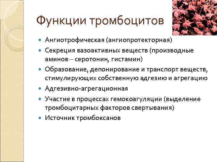 Функции тромбоцитов Ангиотрофическая (ангиопротекторная) Секреция вазоактивных веществ (производные аминов – серотонин, гистамин) Образование, депонирование