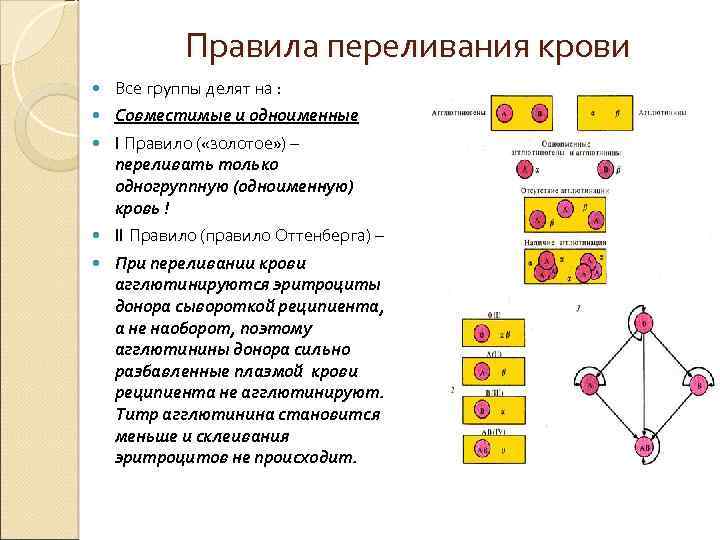 Правила переливания крови Все группы делят на : Совместимые и одноименные I Правило (